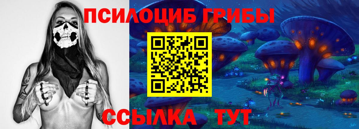 Псилоцибиновые грибы ЛСД Апатиты